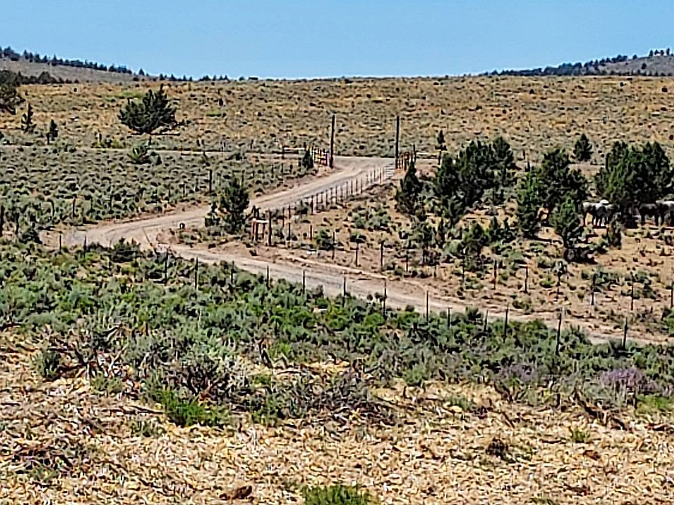 1st image of 0 Pringle Flat Rd