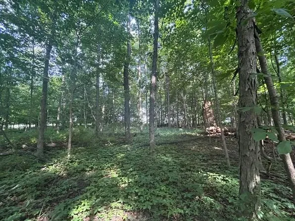 5387 Dildine Rd, Delaware, OH 43015