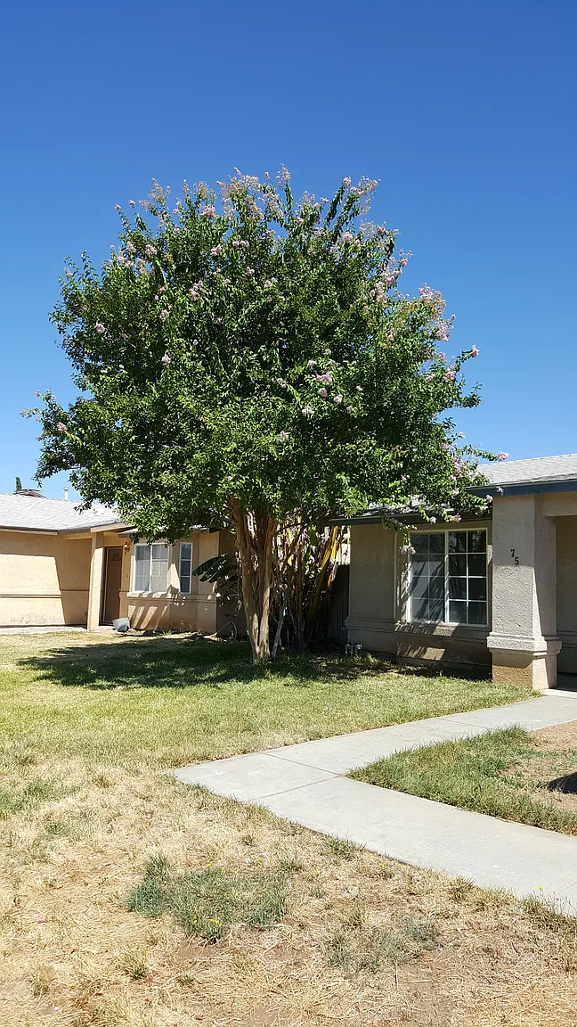 75 E San Pedro St photo 1