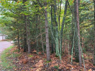 On Musky Dam Ln, Eagle River, WI, 54521