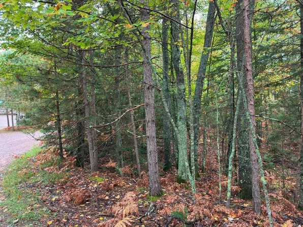 On Musky Dam Ln, Eagle River, WI 54521