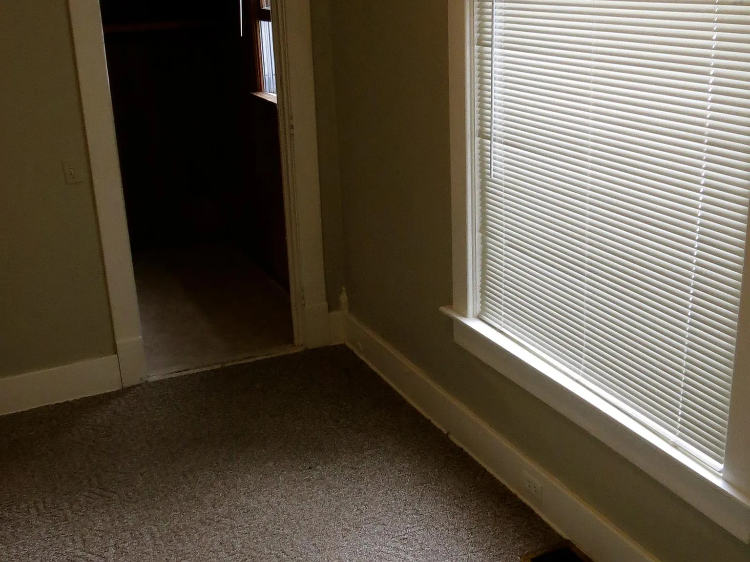 402 Lincoln Avenue - 402 — Photo 3