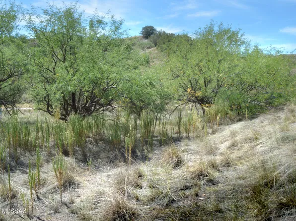 190 Tanglehead Ln Lot 25, Patagonia, AZ 85624