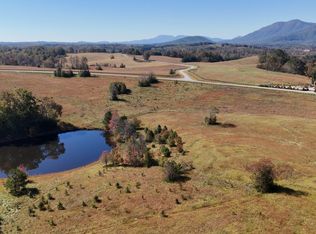 20 Thompson Rd, Hendersonville, NC 28792