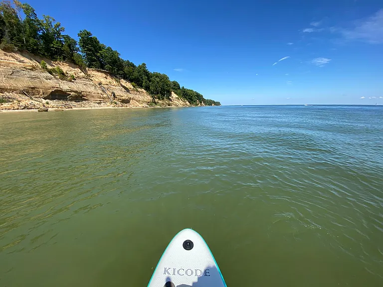 Calvert County is famous for its fossil hunting- having the rare opportunity to find treasures from the Miocene age