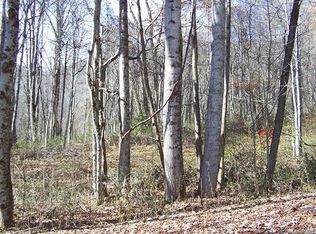 000 Balsam Ridge Rd, Waynesville, NC 28786