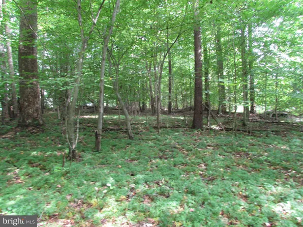 LOT 44 Moody Town Rd, Bumpass, VA 23024