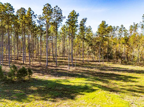 141516 Big Buck Dr, Moscow, TX 75960