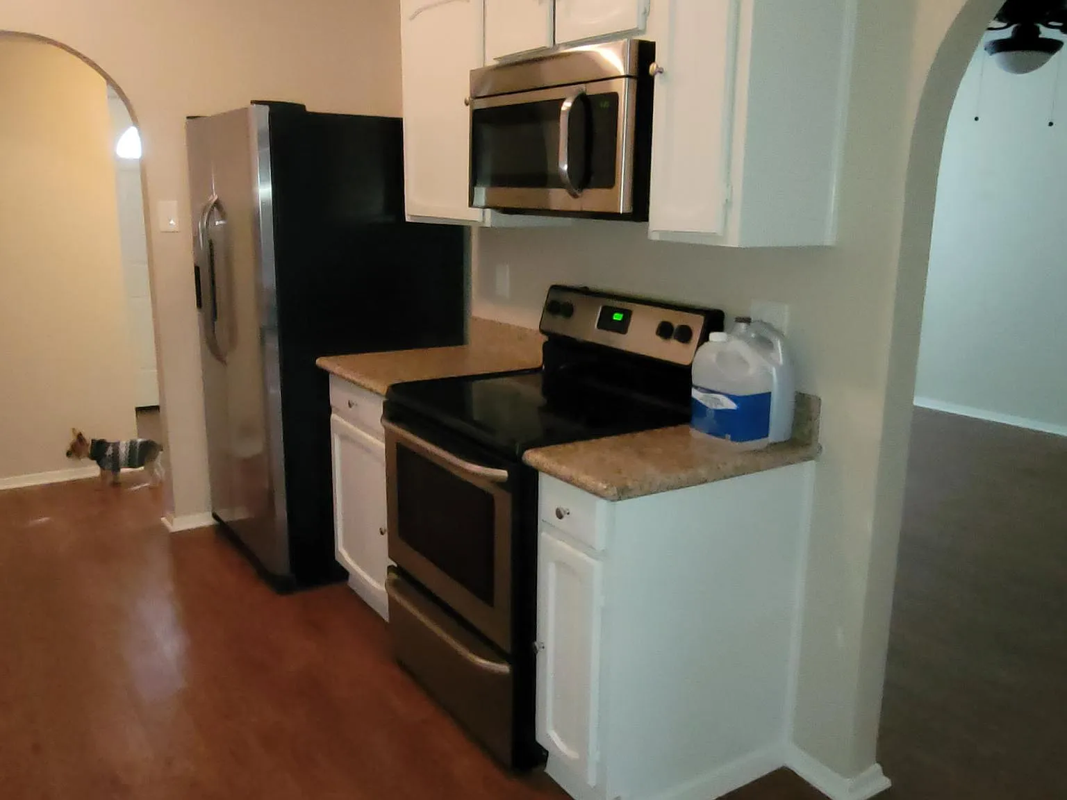 3 bed, 1362 sqft, $2,395 — Photo 3