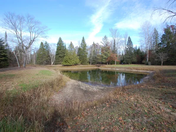 6263 Wildwood Rd, Alger, MI 48610