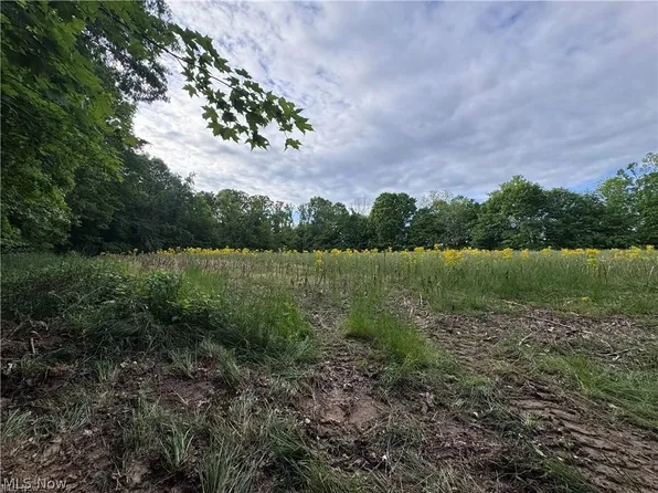 Walker Hill Rd #10.530, Stockport, OH 43787