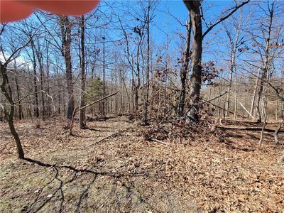 Lots 21 & 22 Peebles Lane 21/22, Bella Vista, AR, 72715
