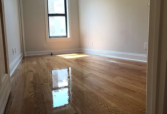 Rented by Kenneth Rosenblum, LREB | media 11