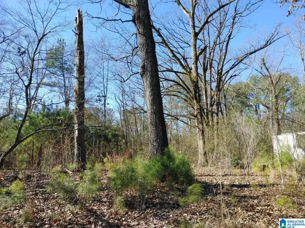 3301 Talladega Hwy #0, Sylacauga, AL 35150