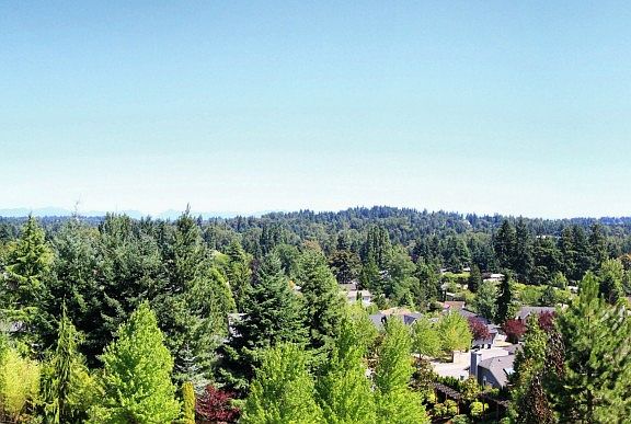 2nd image of 9276 NE 125th Pl