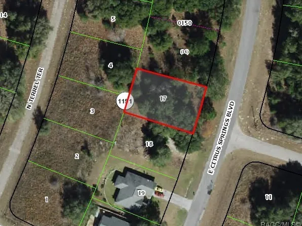 291 E Citrus Springs Blvd, Citrus Springs, FL 34434