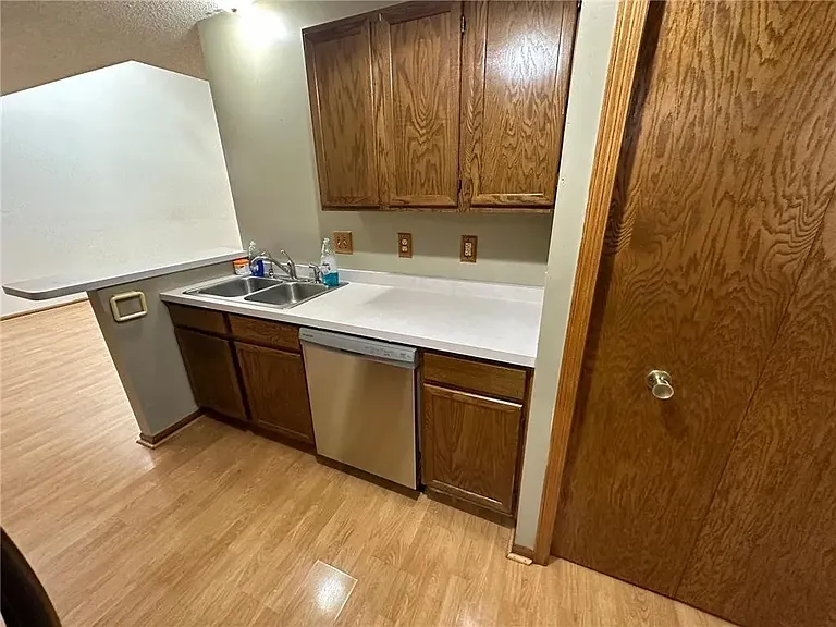 Kitchen Sink and Dishwasher