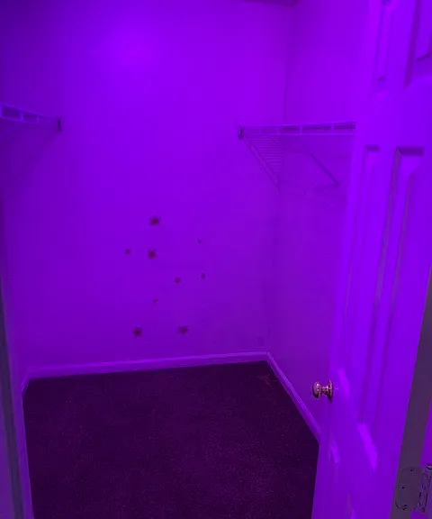 10 Daveitta Dr — Photo 16