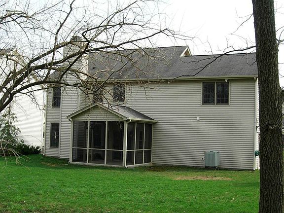 Back View