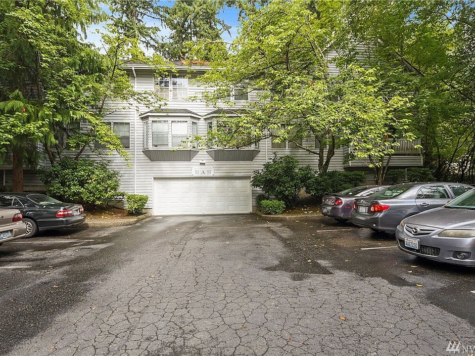 Front of building showing the beautifully treed setting.  Eight parking spaces here and each unit has one space in the basement.