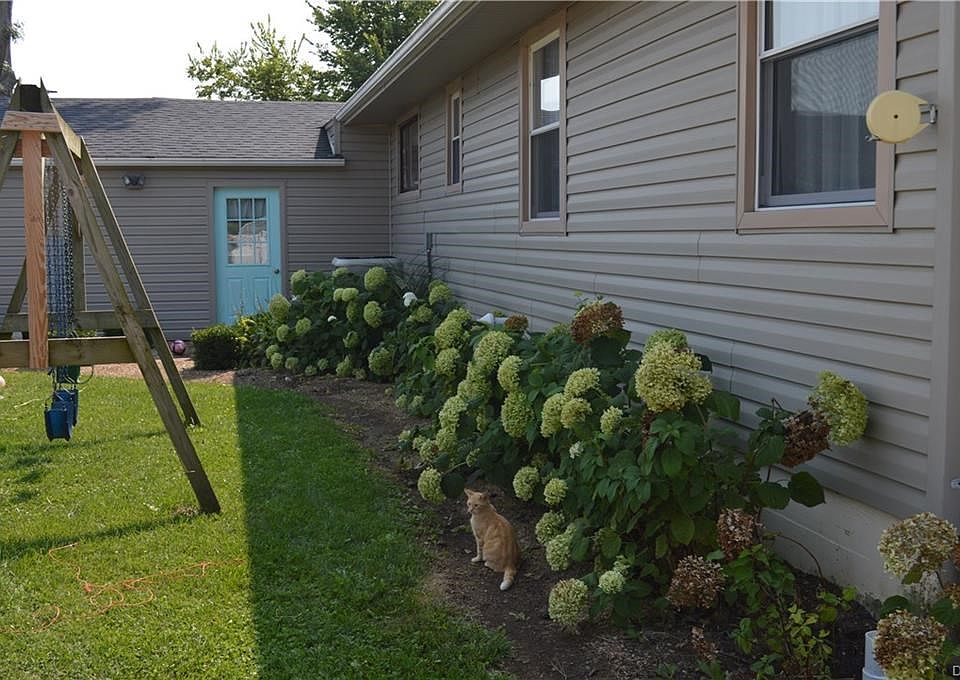 Spring back yard photo showing the beautiful hydrangeas getting ready to burst with color.
