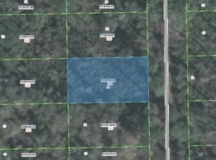231 Rustic Rd, Satsuma, FL 32189