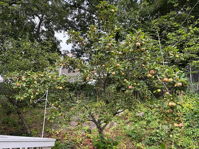 118 Montclair Ave — Photo 30