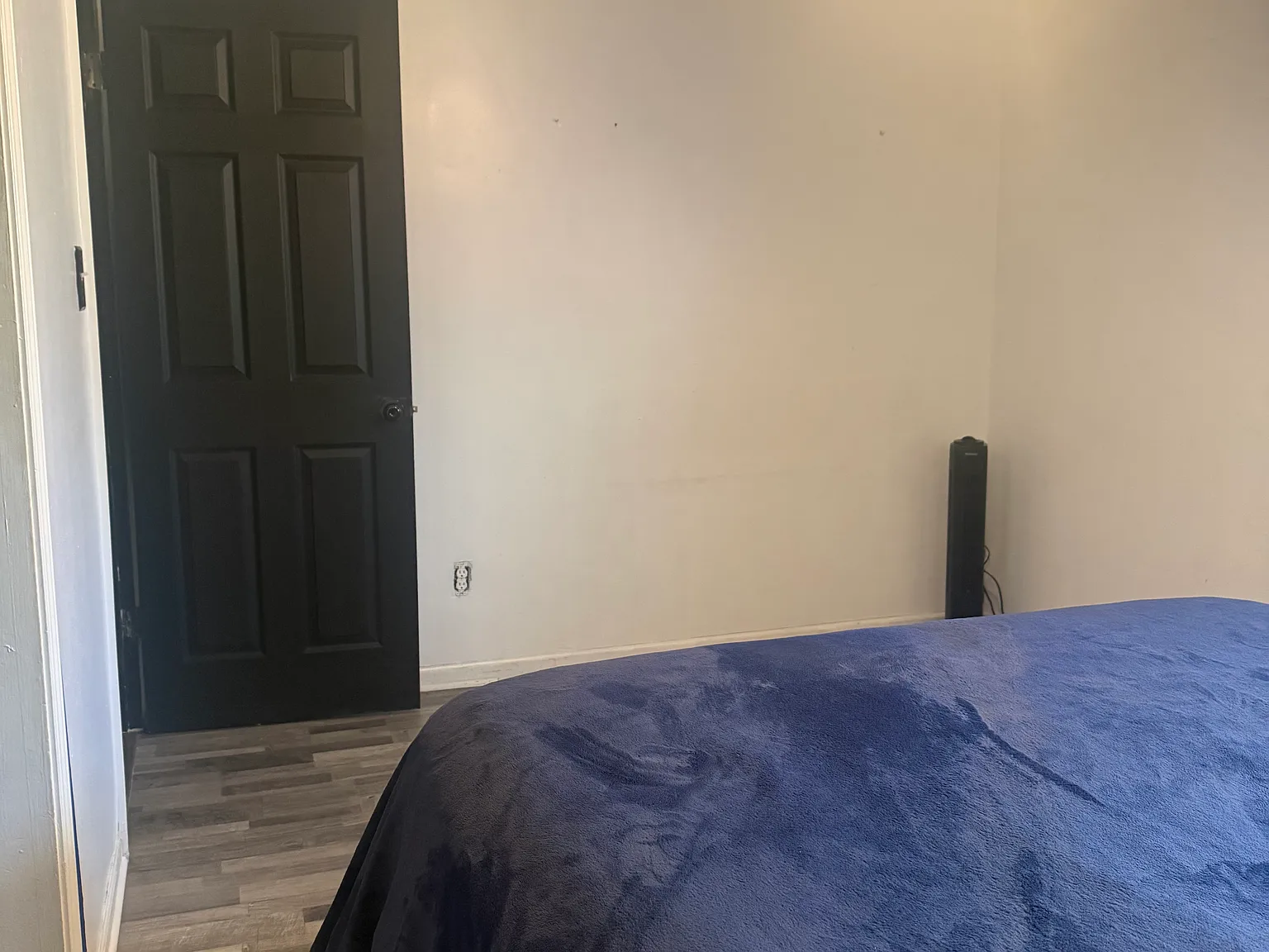 2 bed, 690 sqft, $1,800 — Photo 4