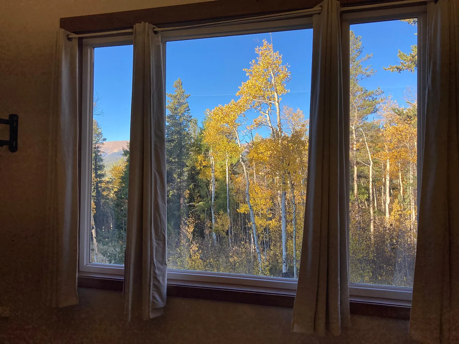 365 Ponderosa Rd — Photo 3