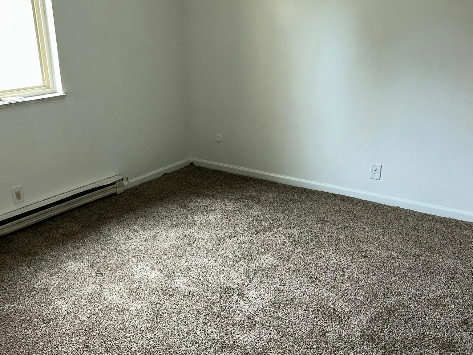 1 bed, $650 — Photo 4