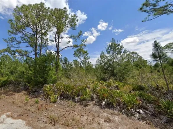 1132 CAMELBACK STREET LOT 19, LAKE PLACID, FL 33852