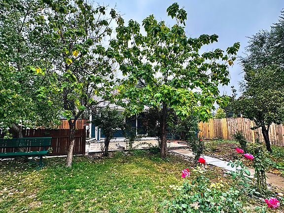 Front yard