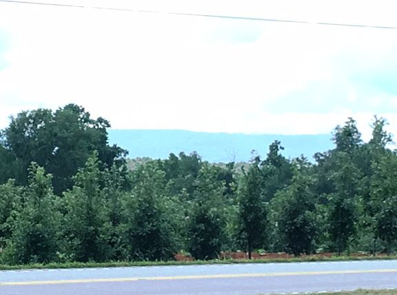 Mountain view from the front