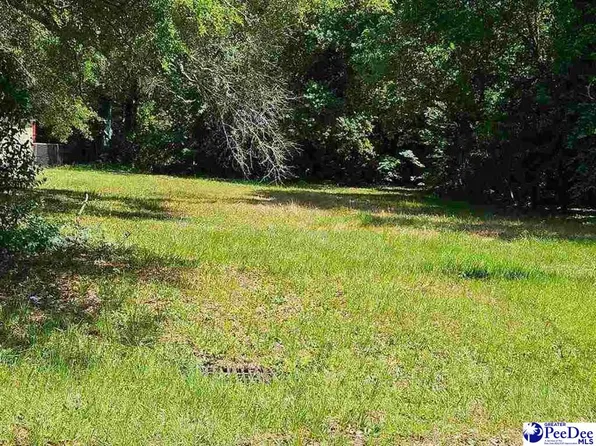 1502 Georgian Dr, Hartsville, SC 29550