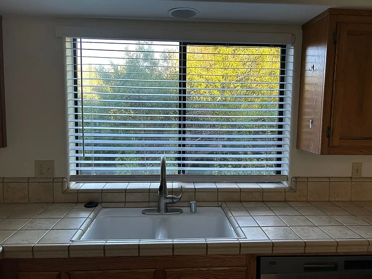 417 Brizzolara St — Photo 5