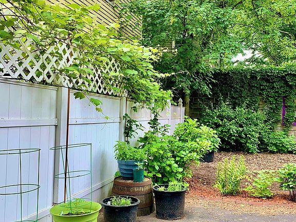 Garden - Fenced