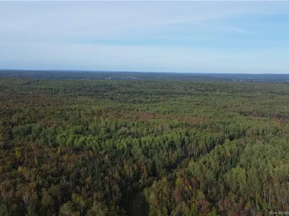 LOT Donnelly Settlement Rd, Prince William, NB E6K 3N3