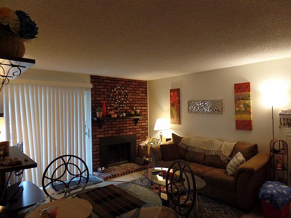 Wood-burning fireplace