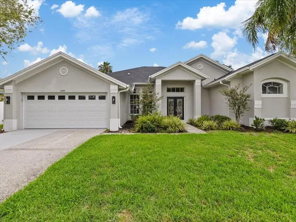 13417 Iola Dr, Tampa, FL 33626