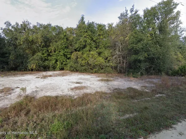 0 Native Rock Dr, Webster, FL 33597