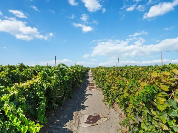 12623 S McCall Ave, Selma, CA 93662