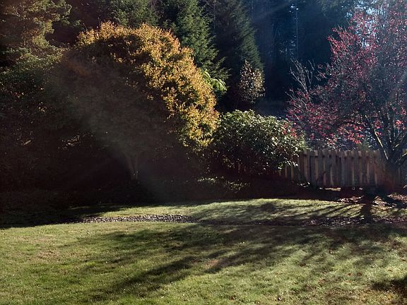 Backyard natural area