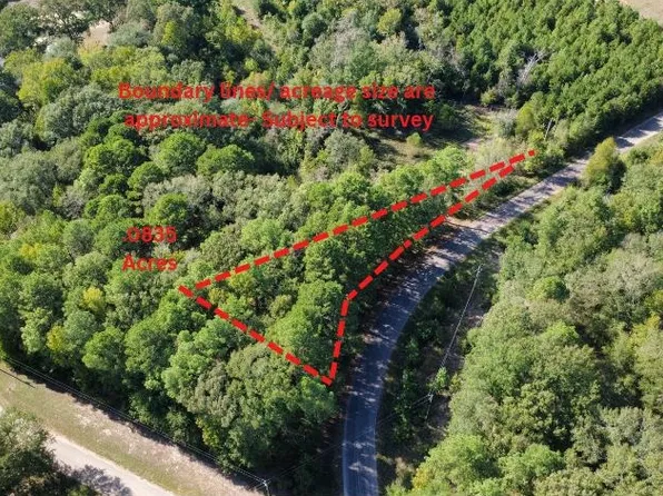 1 Edmondson Rd, Harleton, TX 75651
