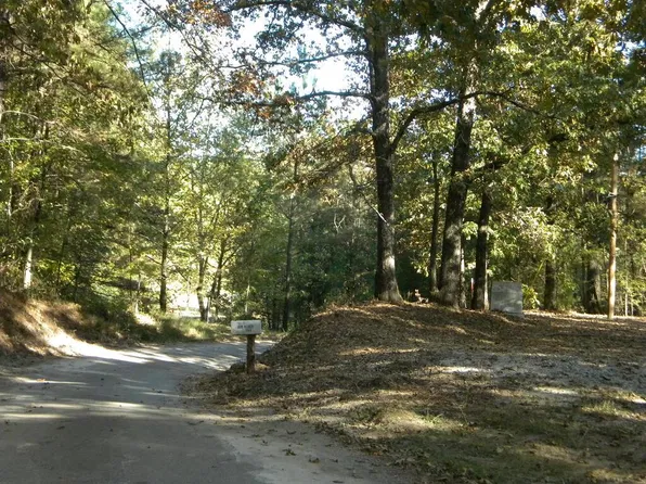 164 Webber Rd, Palmersville, TN 38241