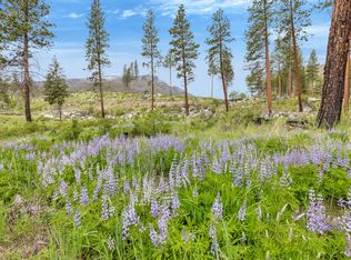 8 Roaring Lion Rd, Hamilton, MT 59840