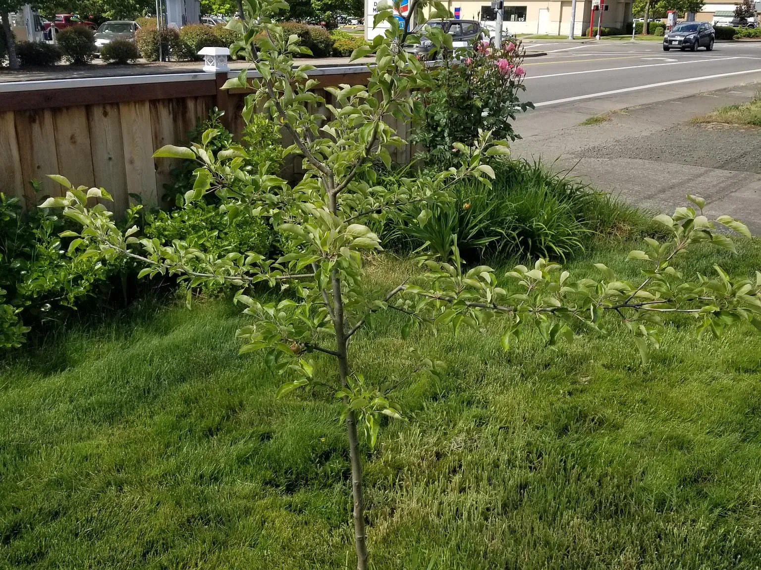 4681 Royal Ave — Photo 3