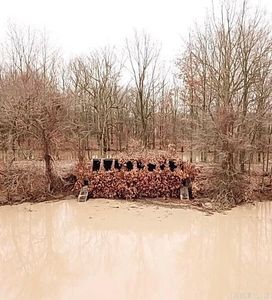 (Undisclosed Address), Fisher, AR, 72429