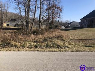 114 Tissy Ln, Brandenburg, KY 40108