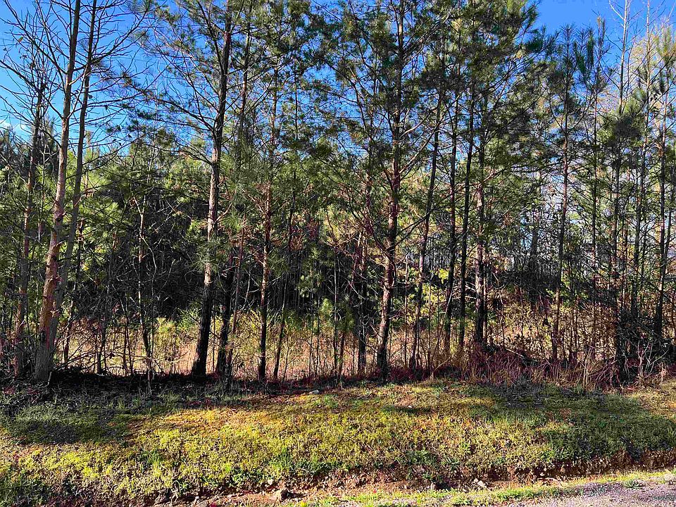 2nd image of 3695 Lehigh Rd