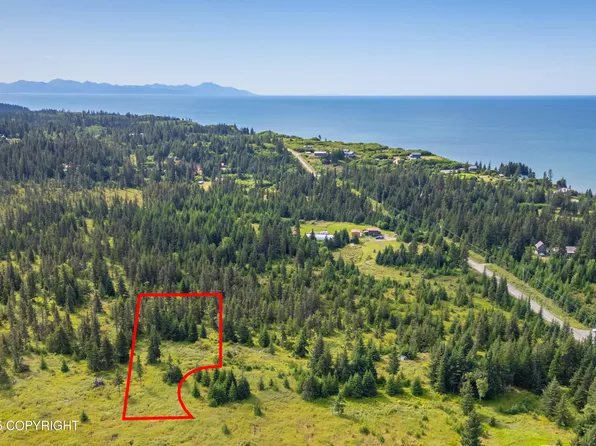 73881 Kirtley Ct, Anchor Pt, AK 99556